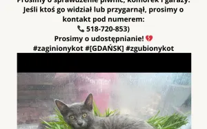 Zaginęła