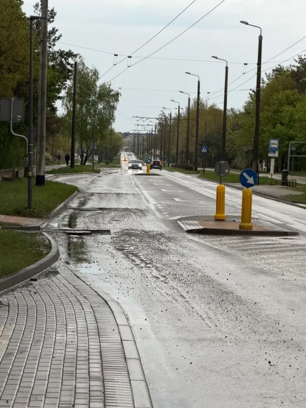 Ogromna dziura w drodze - Gdynia Rdestowa 55 - na wysokości wyjazdu z Lidla