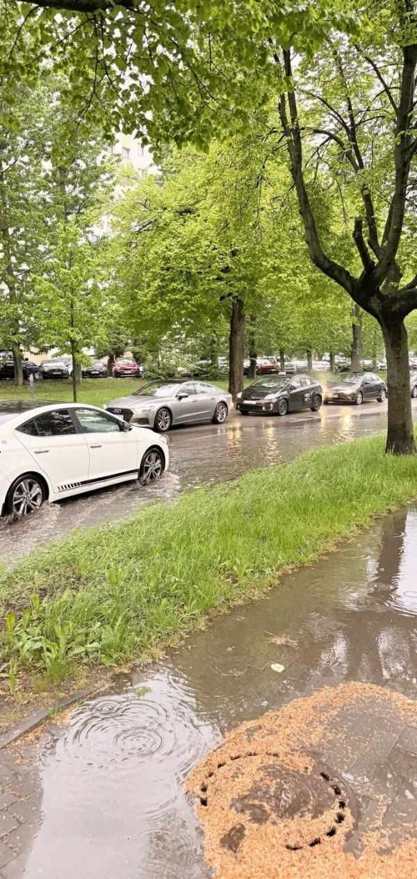 Gdzie strumyk płynie z wolna