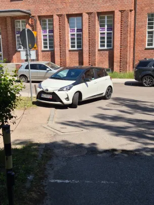 Nieznośni klienci Warzywniaka przy Mickiewicza