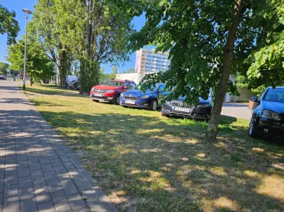 4 dni minęły, łosie dalej na trawce.