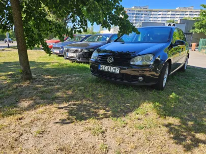 4 dni minęły, łosie dalej na trawce.