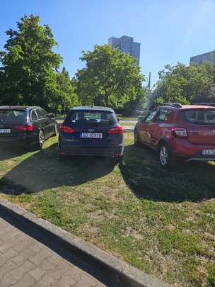 4 dni minęły, łosie dalej na trawce.