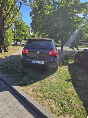 4 dni minęły, łosie dalej na trawce.