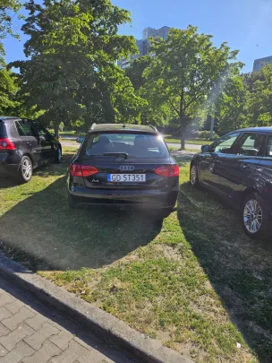 4 dni minęły, łosie dalej na trawce.