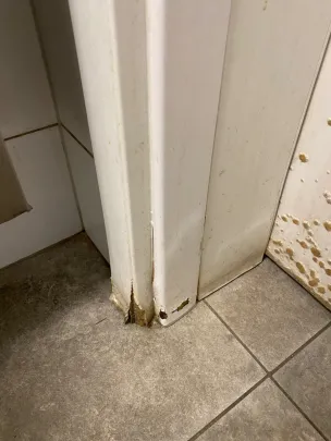 Warunki sanitarne Gdynia