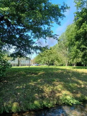 Pożar w Rumi