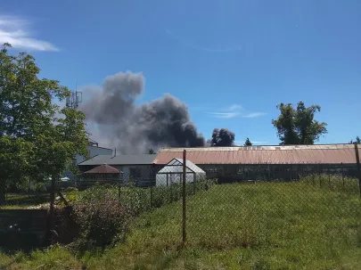 Pożar u brokuła