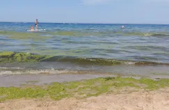 Sinice Jelitkowo, a plaża nadał otwarta