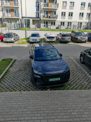 Prawo jazdy z chipsów
