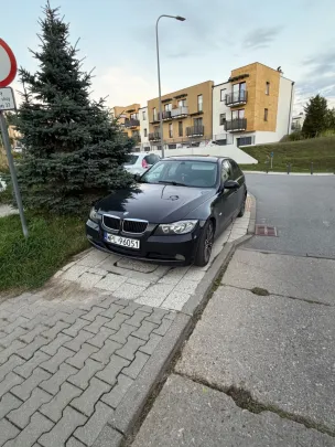 Mistrz parkowania, marka przypadkowa 