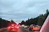 Za Matarnią maraton żółwików