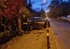 Auto wjechało w ogrodzenie w Oliwie