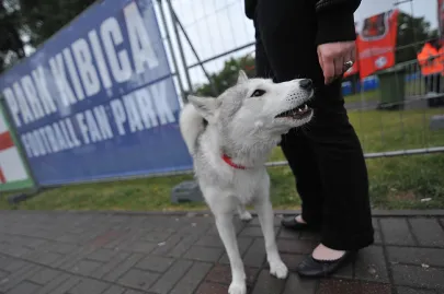 Strefę kibica w Gdyni odwiedzali różni goście