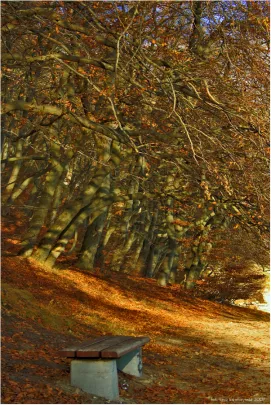 ORŁOWO