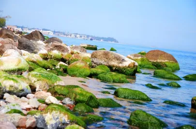 Gdynia Orłowo