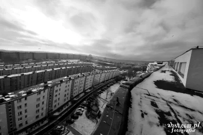 Dach falowca