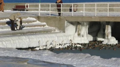 Zima 2010