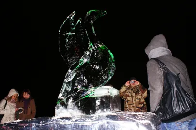 II Festiwal Rzeźb Lodowych w Gdyni