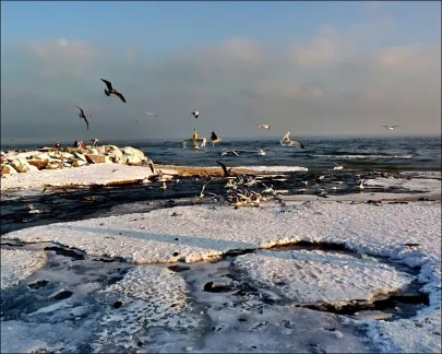 Orłowo zimą.