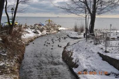 Orlowo-Marzec2010