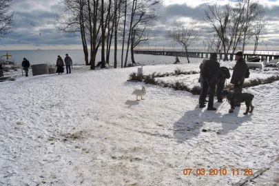 Orlowo-Marzec2010