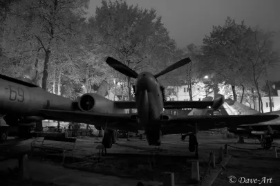 Europejska Noc Muzeów 2010