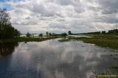 Sobieszewo