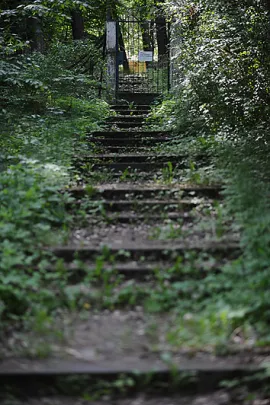 "Forsterówka"