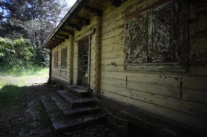 "Forsterówka"