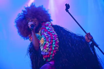 Ebony Bones