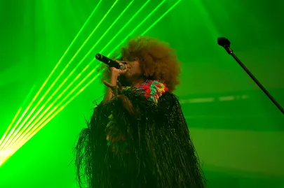 Ebony Bones