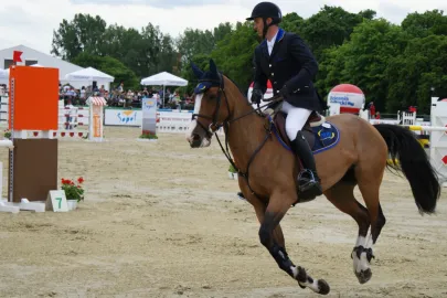CSIO 2010