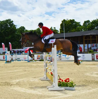 CSIO 2010
