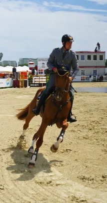 CSIO 2010