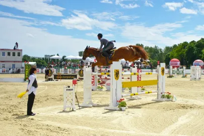 CSIO 2010
