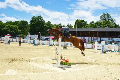 CSIO 2010