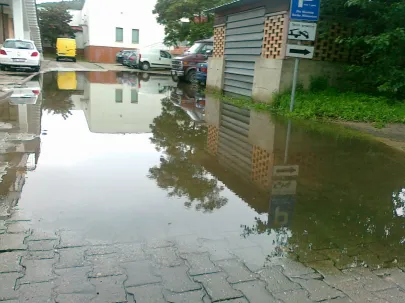 "Stawik - kałuża" przy Grunwaldzkiej 615