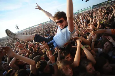 The Hives