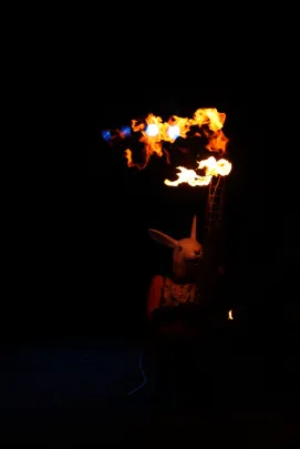 Mamadoo "In Fireland" (Polska/Gdynia) - boisko przy ul. Dolna Brama 