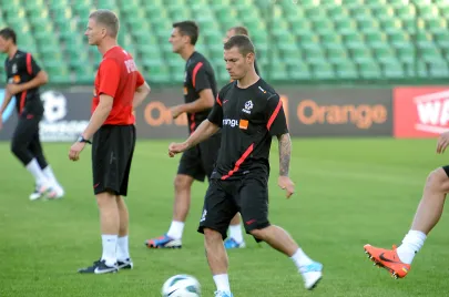 Ludovic Obraniak