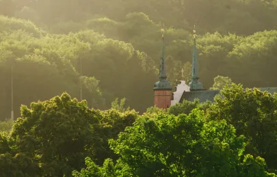 katedra w Oliwie widziana z dachu kamienicy przy ul. Obrońców Westerplatte