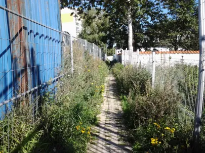 znikająca ścieżka-trzeba postawić znak drogowy "tylko dla motyli"