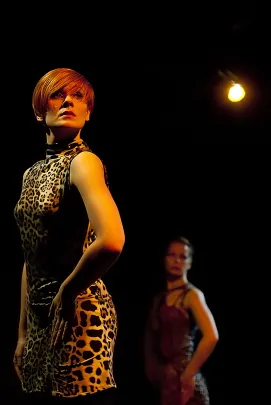 Wild Project