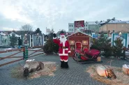 Renifery na Targu Węglowym podczas Jarmarku Bożonarodzeniowego. 