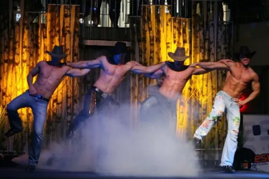 THE BEST CHIPPENDALES GROUP OF POLAND