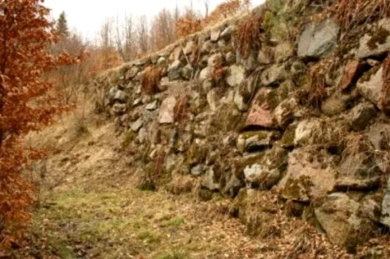Kamienne Mosty w lasach Nadleśnictwa Strzebielino