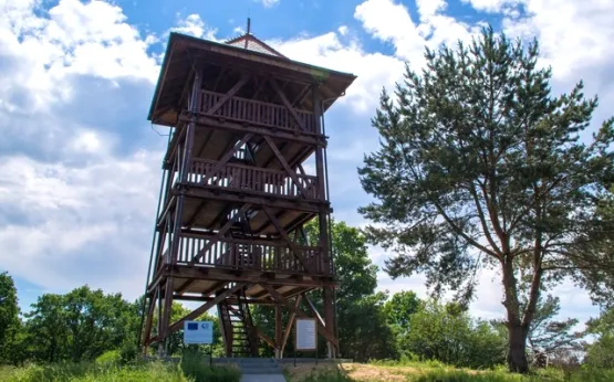 Wieża widokowa w Tolkmicku