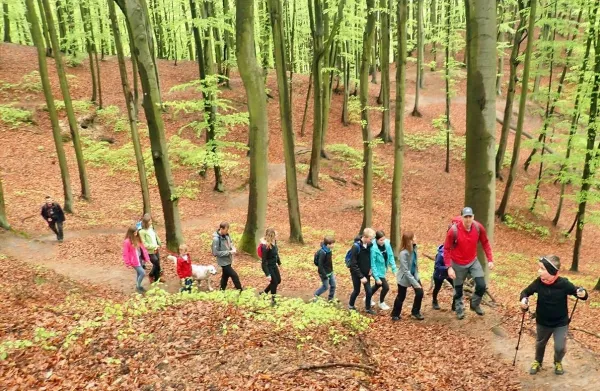Zabierz dzieci, rodziców na wędrówkę po najpiękniejszych zakamarkach lasów Gdańskich