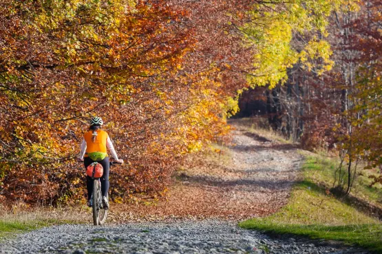 To już ostatni moment na wypad rowerowy po lasach liściastych, za chwilę pryśnie czar pięknej jesieni. Wybierz się z nami, poznaj ciekawe miejsca i pozytywnie zakręcone towarzystwo.